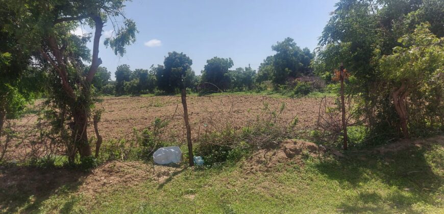 Malindi Agri-Acres